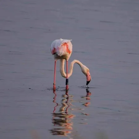 Sunny Italy Apartmán