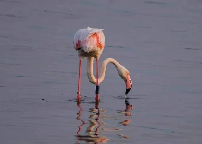 Sunny Italy Apartmán